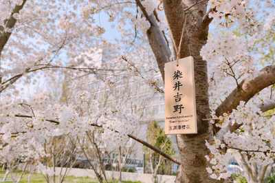 2020-03-29-18-13-03-274